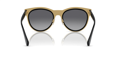 VERSACE 2198 1002/T3 54
