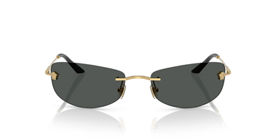 VERSACE 2279 1002/87 60