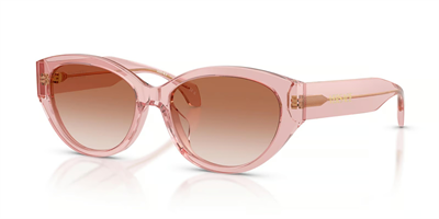 VERSACE 4495-D 5434/13 56