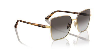 VOGUE VO 4199-S 51988G 58