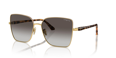 VOGUE VO 4199-S 51988G 58