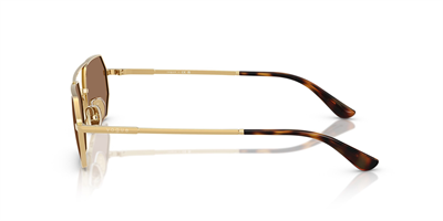 VOGUE VO 4329-S 280/73 55