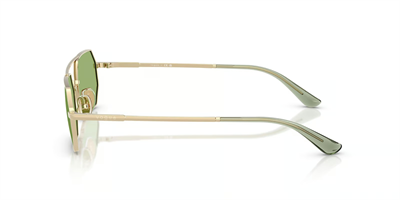 VOGUE VO 4329-S 848/2 55