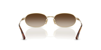 VOGUE VO 4353-S 848/13 54