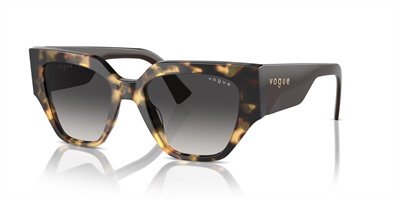 VOGUE VO 5409-S 26058G 52