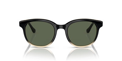 VOGUE VO 5494-SI 303971 51