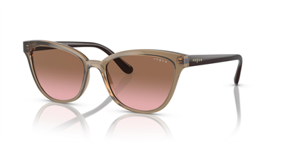 VOGUE VO 5496-SI 304014 54