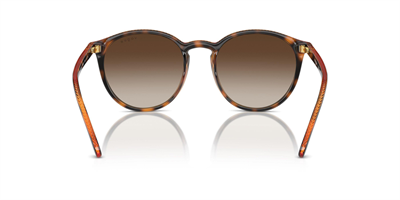 VOGUE VO 5544-SI W65613 51