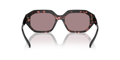 VOGUE VO 5554-S 31487N 54