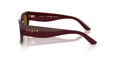 VOGUE VO 5586-S 328483 53