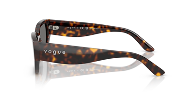 VOGUE VO 5586-S W65681 53