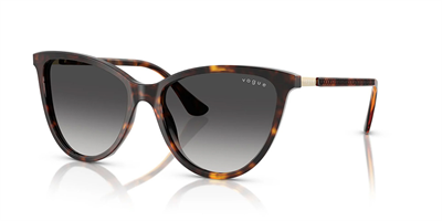VOGUE VO 5593-SI W6568G 57