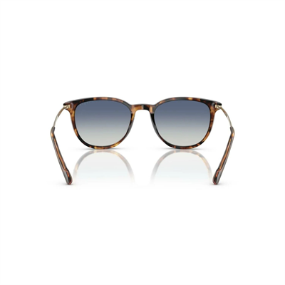 VOGUE VO 5594-SI 28194L 51