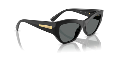 VOGUE VO 5607-S W44/81 53