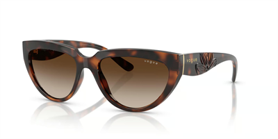 VOGUE VO 5629-S 271813 54