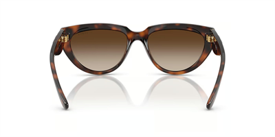 VOGUE VO 5629-S 271813 54