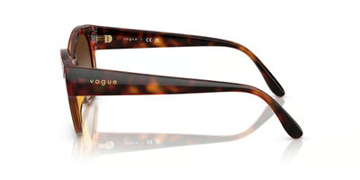 VOGUE VO 5638-SU W65613 55