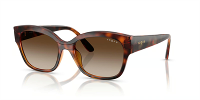 VOGUE VO 5638-SU W65613 55