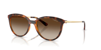 VOGUE VO 5647SI W65613 53