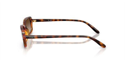 VOGUE VO 5666-S W65613 53