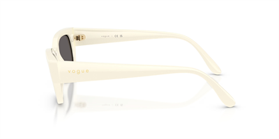VOGUE VO 5669-S 316787 54