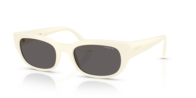 VOGUE VO 5669-S 316787 54
