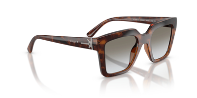 VOGUE VO 5690-S 23868G 49