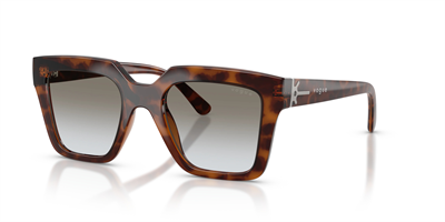 VOGUE VO 5690-S 23868G 49