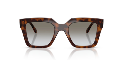 VOGUE VO 5690-S 23868G 49