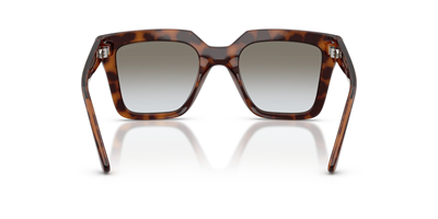 VOGUE VO 5690-S 23868G 49