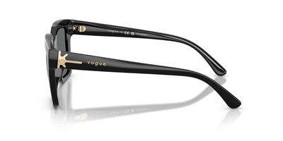 VOGUE VO 5690-S W44/81 49