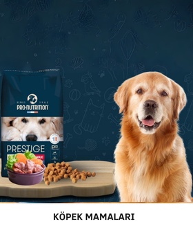 Köpek Mamaları