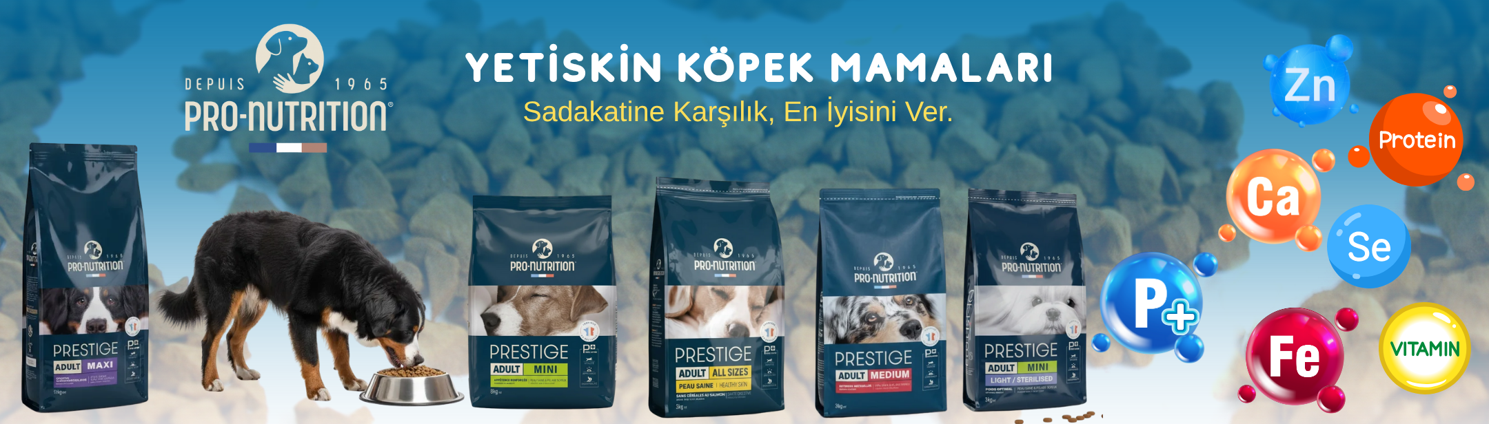 Pro Nutrition Elite