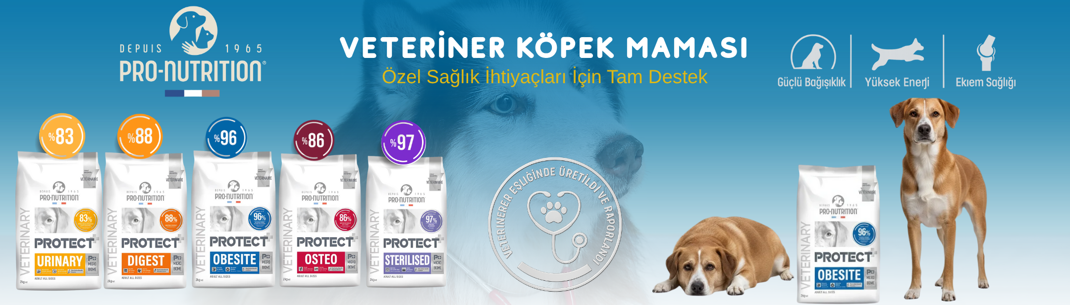 Pro Nutrition Protect