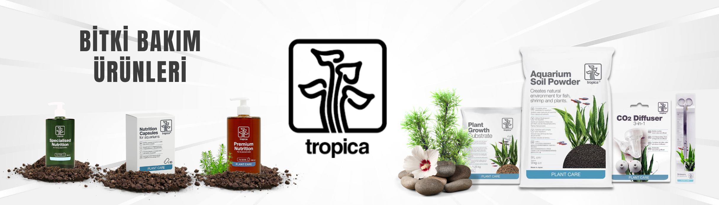 Tropica