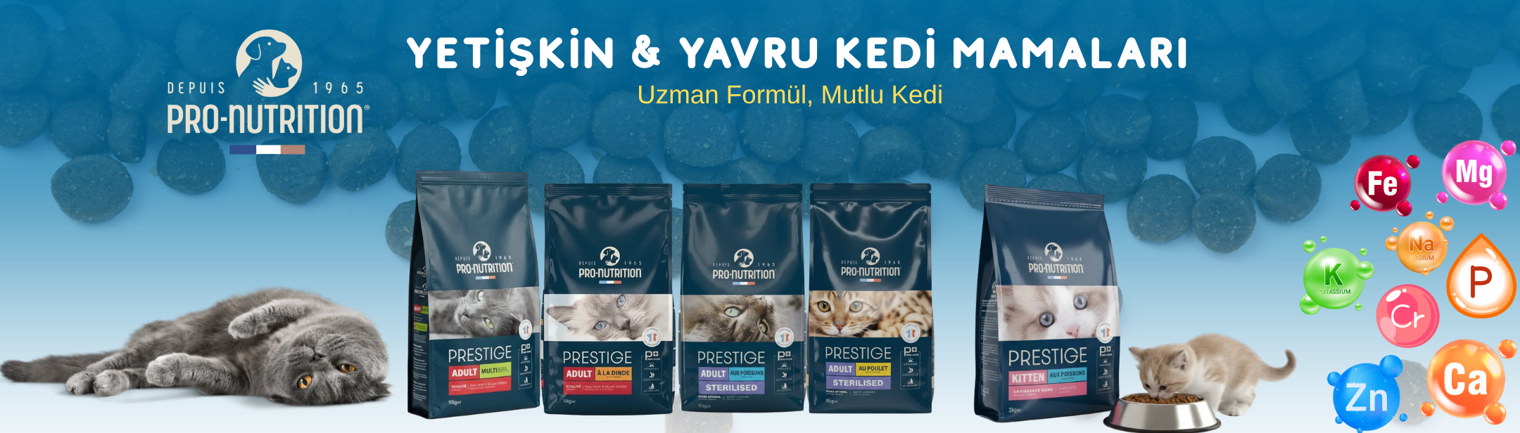 Tropical Balık Yemleri