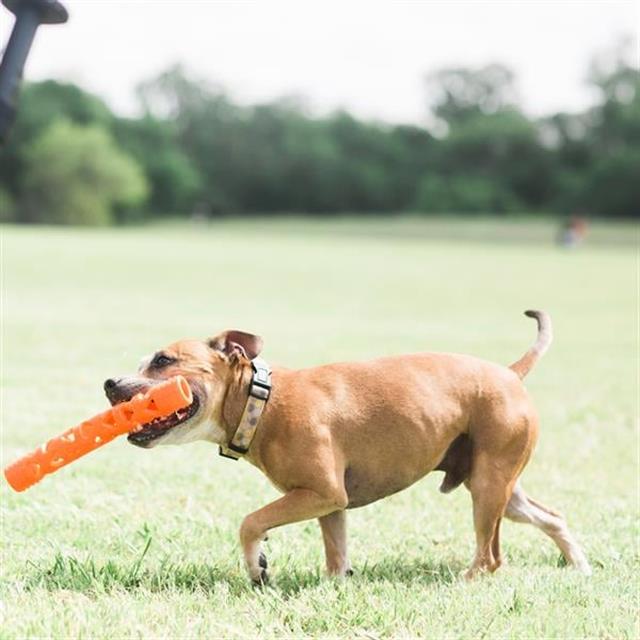 Chuckit! Air Fetch Stick Köpek Oyuncağı (Büyük Boy)