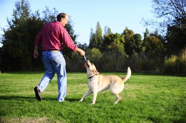 Chuckit! Ultra Duo Tug 2'li Köpek Çekiştirme Topu (Orta Boy)