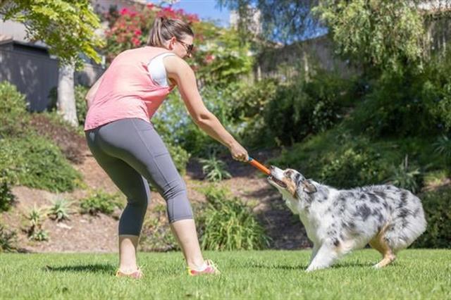 Chuckit! Ultra Fetch Stick Köpek Oyuncağı