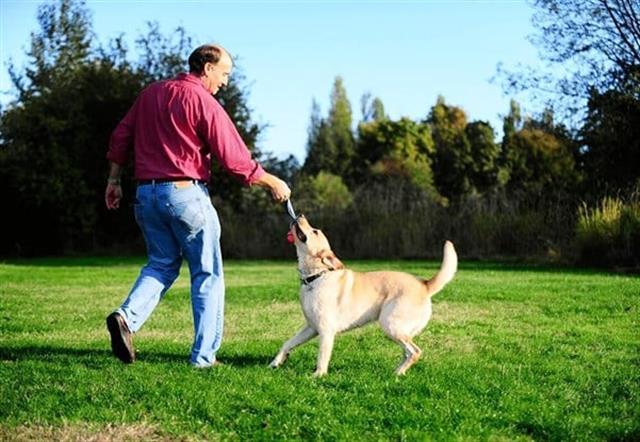 Chuckit! Ultra Tug Köpek Çekiştirme Topu (Orta Boy)