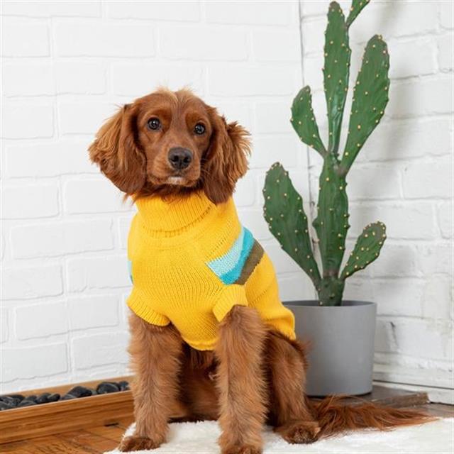 GF PET Alpine Köpek Süveteri - Sarı