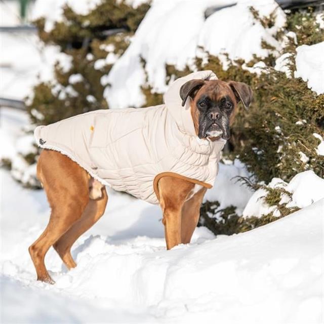 GF PET Arctic Parka Köpek Montu - Bej
