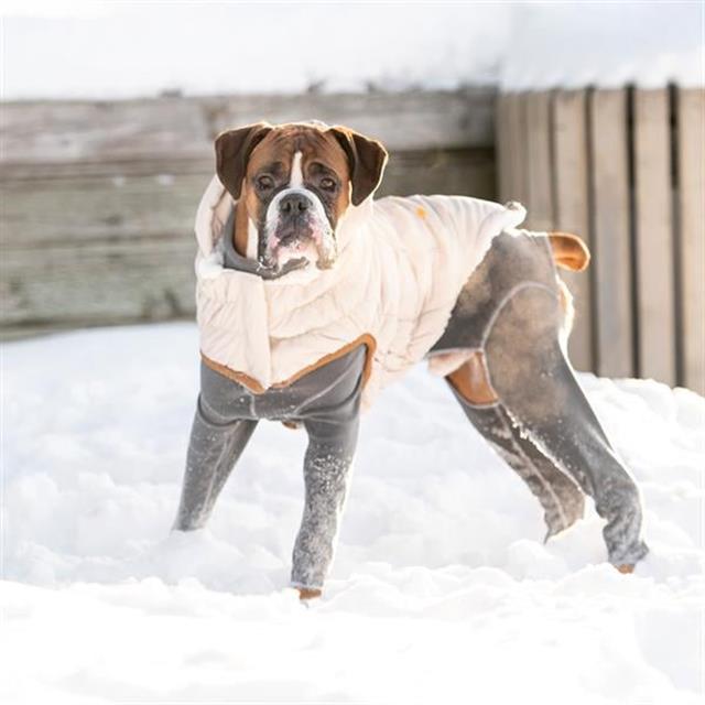 GF PET Arctic Parka Köpek Montu - Bej