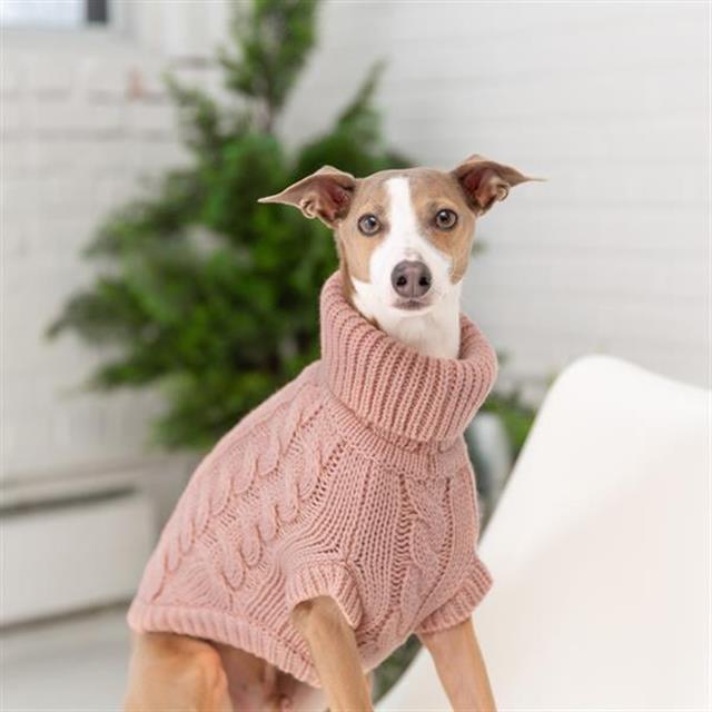 GF PET Chalet Köpek Süveteri - Pembe