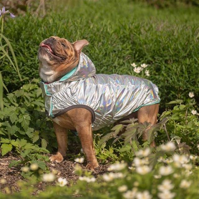 GF PET Çift Taraflı Köpek Yağmurluğu - Aqua