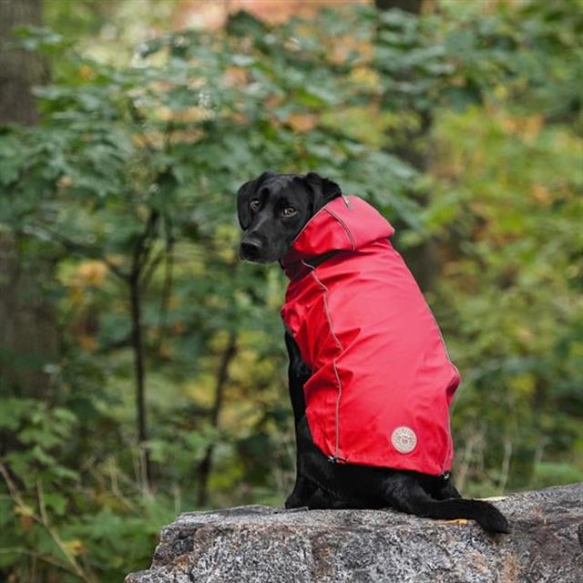 GF PET Çift Taraflı Köpek Yağmurluğu - Kırmızı