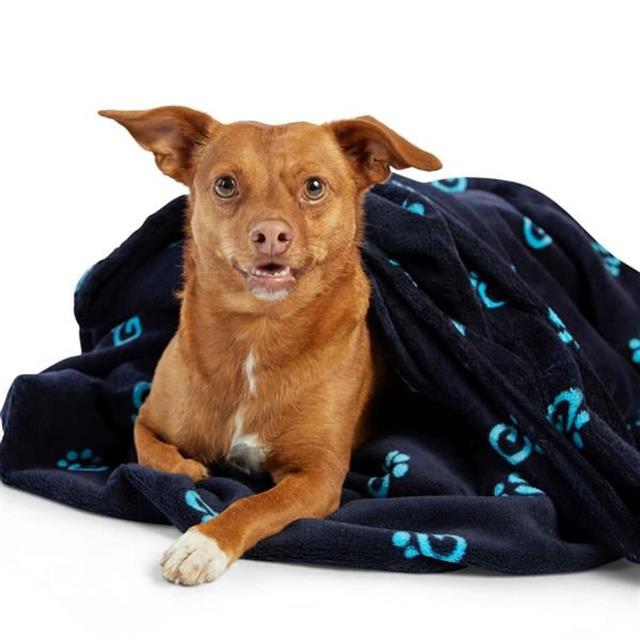 GF Pet Ekstra Yumuşak Köpek ve Kedi Battaniyesi - Lacivert