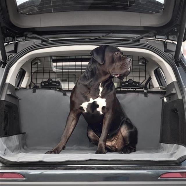 GF PET Evcil Hayvan Araba Koltuk Kılıfı (Cargo)