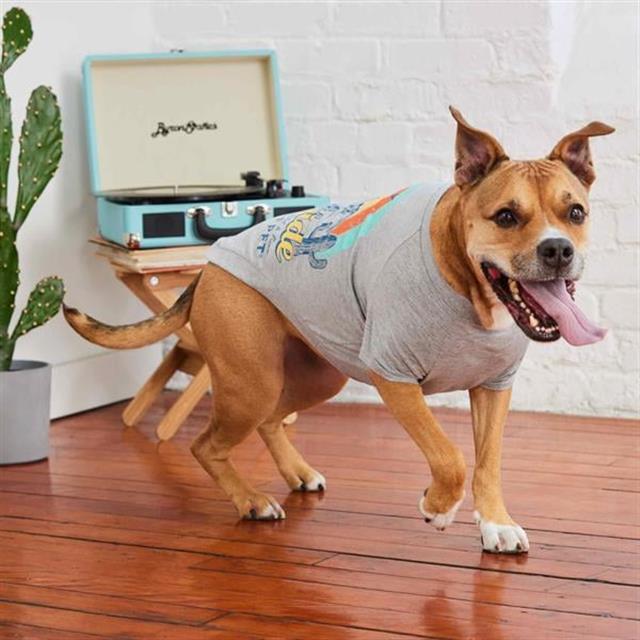 GF Pet Graphic Tee Köpek Tshirt - Gri