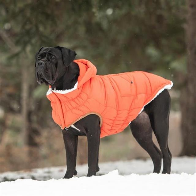 GF PET Super Puff Parka Köpek Montu - Turuncu